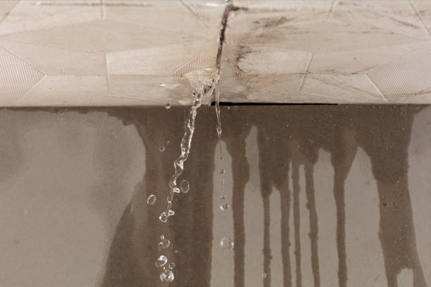 Professional Structural Drying technician working in Salem, CT